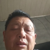 罗汉竹