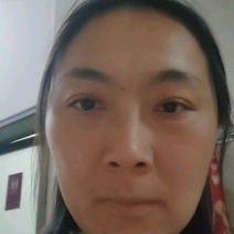 绿化，零售专用小丽花，基地直销，大量有货，可以实地考察