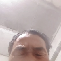 湖北恩施含硒绿茶