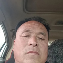 【热卖】惠民县大棚小叶菠菜量大质优诚信代办欢迎致电