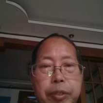 红肉蜂糖李子苗6月下旬成熟红皮红肉味甜酥脆浓香现挖包邮