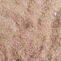 河北赵县杏花粉自产自销质量保证欢迎来电咨询