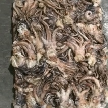 船冻真鱿内洋头100/200*船冻真鱿尾100/200