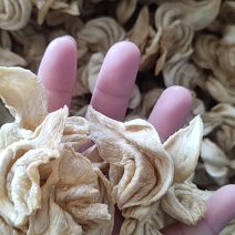 大豆耳展销会赶集热卖炒菜炖菜做火锅麻辣凉拌都可以量大优惠
