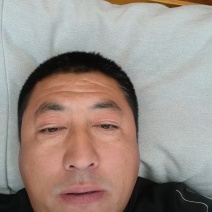 酸枣苗冬枣苗嫁接成品蟠枣树苗
