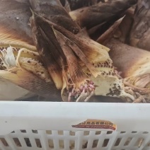 笋子春笋现挖