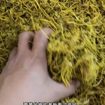 黄龙根金龙根雪灵茶黄龙草金龙石斛参龙须雪山黄龙茶批发代发