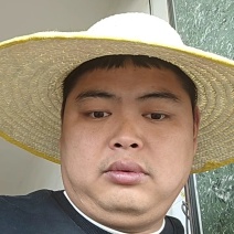 四川细叶麦冬苗，一手货源保质保量基地直发量大从优