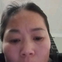 紫花三叉宽叶白芨苗，二年苗，一手货源，品质保证，产量高成
