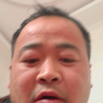 国产三文鱼鱼柳，每天订单现杀，适合自助餐，刺身！！！