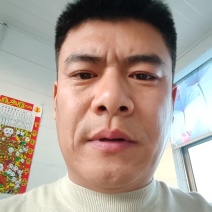 虹鳟鱼苗