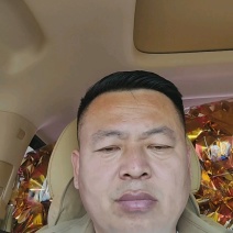 百亩菠菜采摘