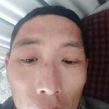碎棉渣