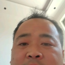 钉螺鲜活新鲜去尾螺丝尖螺冷冻长尾螺海锥烧烤食材海鲜批