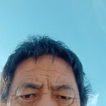 阳光玫瑰葡萄苗产地直发货源充足欢迎来电咨询合作