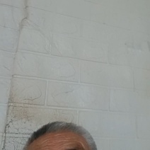 酿酒优质高粮。质良上成