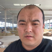 精品麻子葡萄干大量上市品质保证量大从优一手货源