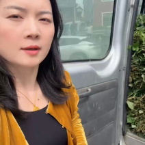 高品质临安小香薯脱毒种苗只有做优质种苗假一赔万