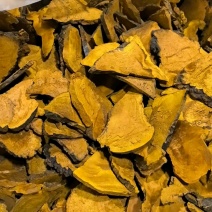【桑黄菌】东北人工种植仿野生桑黄/精选好货，价格便宜
