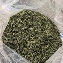 阿文绿菜茶🍵