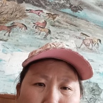 油蟠脆枣【蟠枣苗】支持视频看货，可发往全国市场！