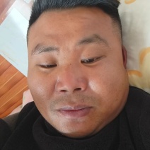 精品茼蒿小叶茼蒿产地直供可视频看货欢迎来电采购