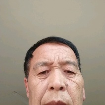半夏种子半夏秧子半夏籽支持大货批发零售包芽