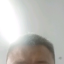 血皮菜