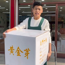 黄金叶茶2026年黄金叶茶叶批发包邮