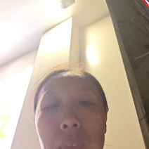 富贵竹水培观音竹室内客厅，面向全国各地批发，品质保证！