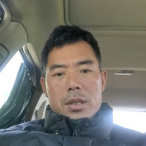 蘑菇双孢菇