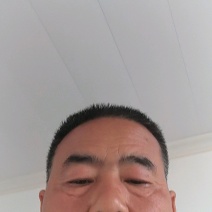 盘龙南瓜南阳南瓜盘龙204大量上市口感好质量优致电