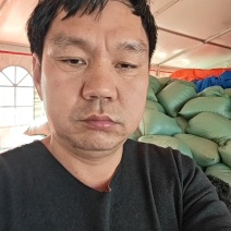 【推荐】羊栖菜规格齐全价格优惠支持视频看货欢迎采购