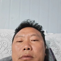 通草老桩苗预订开贵州通草苗技术指导产地直销欢迎考察