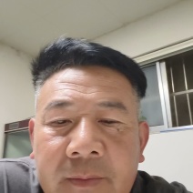 北陆蓝莓苗新品种L25、F6、L11钵苗地栽苗大量有货