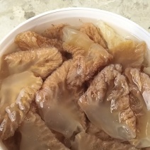 精品海蜇头墨西哥菊花头一点红八爪头特大印尼头
