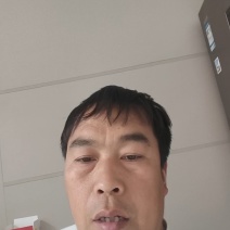 精品茴香苗产地直发一手货源质量保证！
