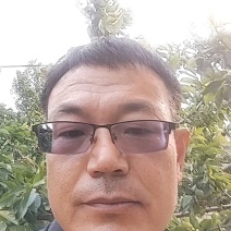 杏子干原味***自然口感酸甜爽口