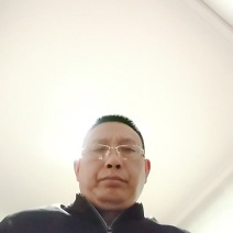 四川黄柏苗基地直发规格齐全量大从优
