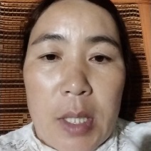 姜种精选368开始大量预订，免费提供种植技术！全国发货