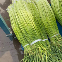 河南商丘6米8牛持续供货，两个入库调运中。