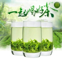 信阳毛尖茶叶2026年雨春茶口粮茶500克散装包邮