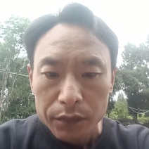 安岳柠檬尤力克柠檬现货大中小一二三级皮薄汁多质量保证