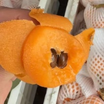 枇杷降价了