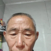 丰园红杏