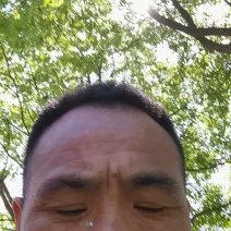 正宗芹芽现货秒发下单秒发
