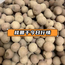 桂圆干大果肉，多规格现货，欢迎联系！