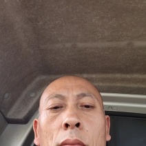 豌豆苗