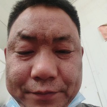 鸽子蛋对接全国产地直发保质保量欢迎各大批发商采购