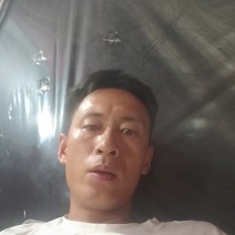 江苏精品生菜，意大利生菜，大颗生菜，货源充足基地发货